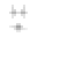 ebewhite version