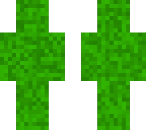grass
