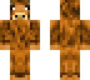 highland cow