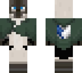 siamese cat aot