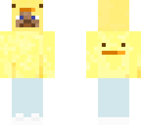 steve duck