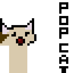 *p o p c a t*