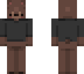 bear in shirt