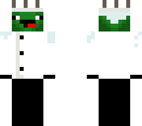 chef turtle