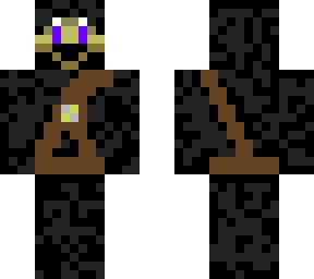 mr.ninja