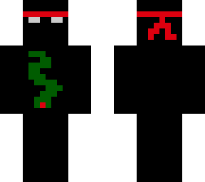 ninja with snake