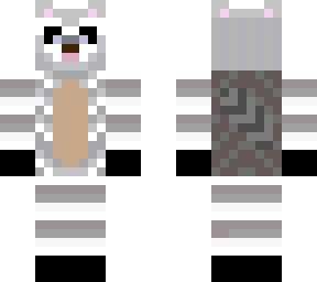 raccoon