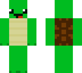a turtle