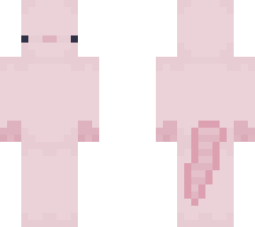 axolotl