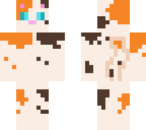 calico cat