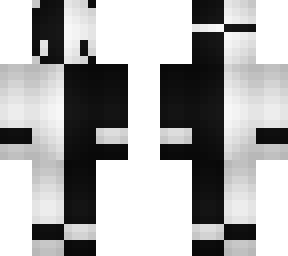 duality