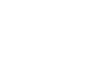 ninjabrine