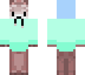racoon in hoodie
