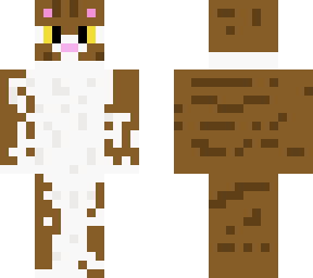daisy (my cat)