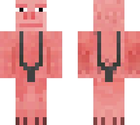 pig wit cloth?