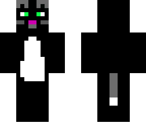 tuxedo cat