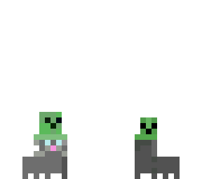 cat in the creeper hat