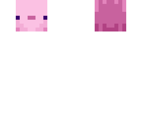 axolotl 1