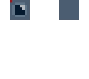 camera head