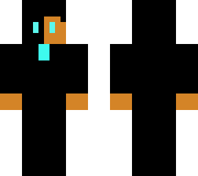 justpraveen new bedwars yt skin