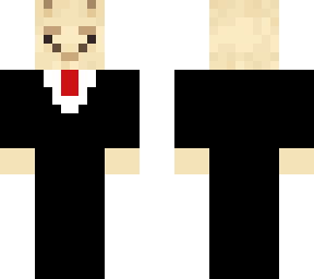 llama suit