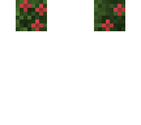 red bush