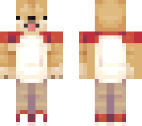 doge con polera