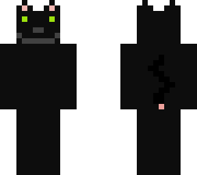my cat