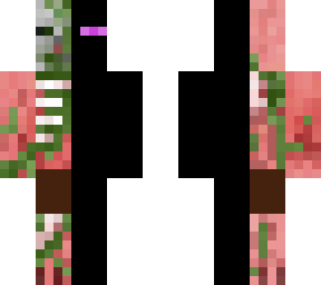 nether and the end