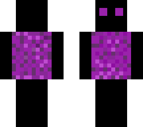 nether portal skin