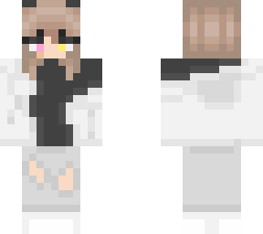 skin for attic