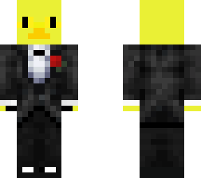 beautiful duck