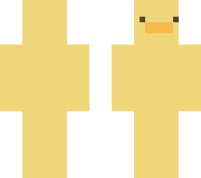 duck skin