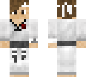 mi skin version taekwando