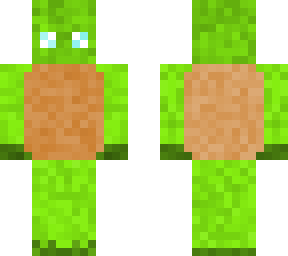 rurgie cute turtle not backwards