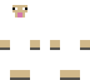 sheep