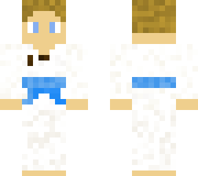 taekwondo skin