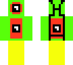 a walking camera