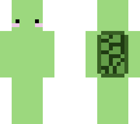 cute turtle