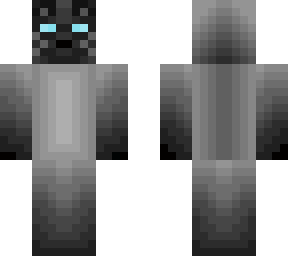 grey siamese cat