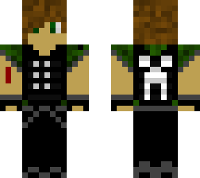 skin i made for my brother do not take or you are a jerk