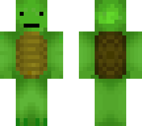 turtle...