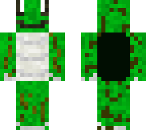 a turtle
