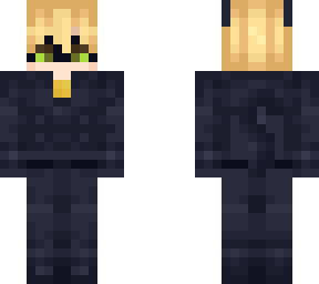 cat noir