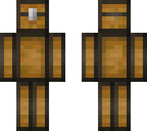 chest