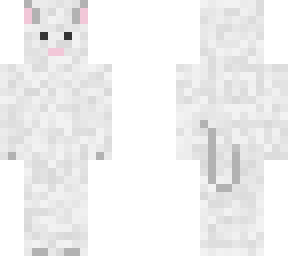 ferret