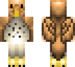 owl