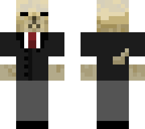 suit/casual maltese dog