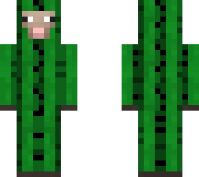 cactus sheep