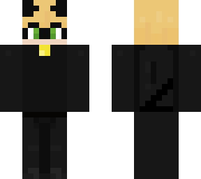 cat noir